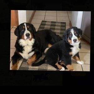 Meet your Posher, Cathy